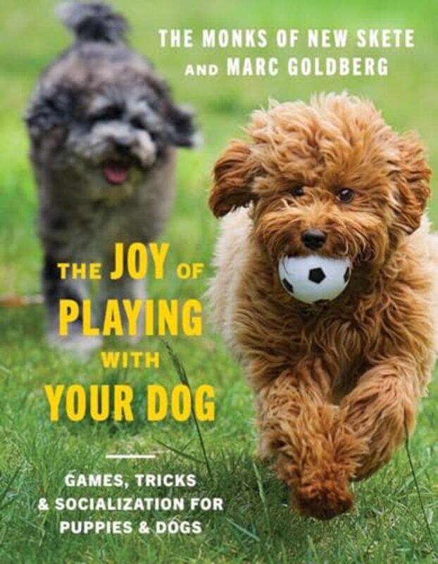 

The Joy of Playing with Your Dog by Emily Quinn-Hardcover