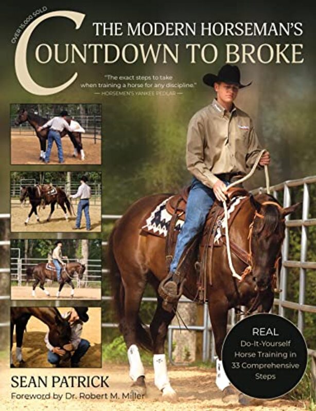 The Modern Horsemans Countdown to Broke by Xie Xuejing-Paperback