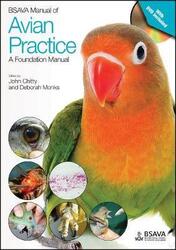 BSAVA Manual of Avian Practice: A Foundation Manual,Paperback,ByChitty, John - Monks, Deborah