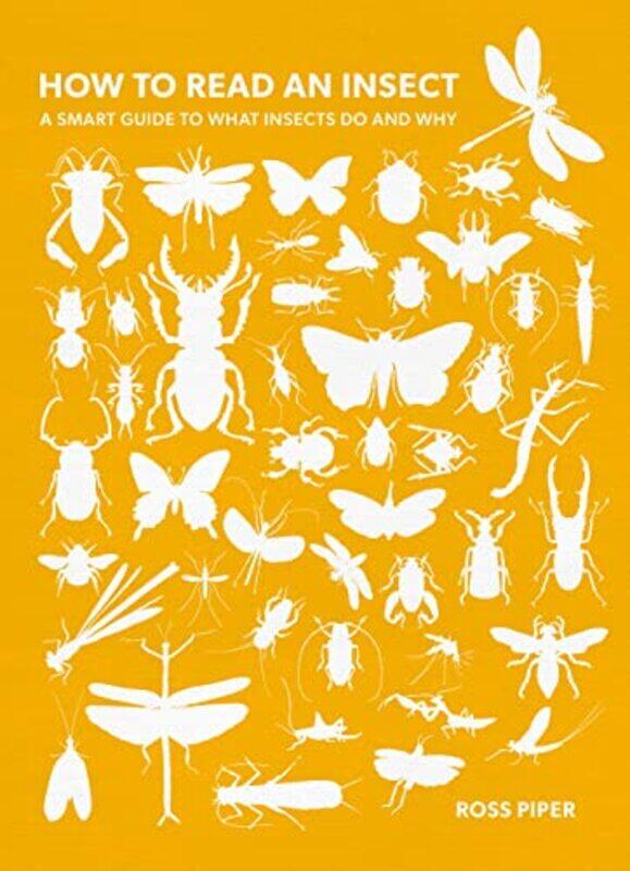 

How to Read an Insect by Lindsay GalvinAlan Brown-Paperback