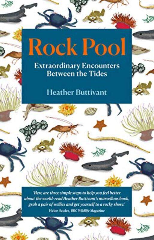 

Rock Pool by Michael Jacobs-Paperback