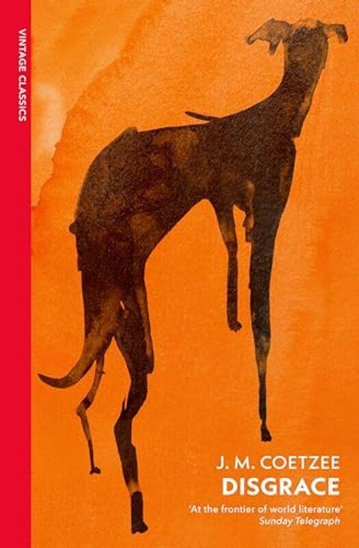 

Disgrace by JM Coetzee-Paperback
