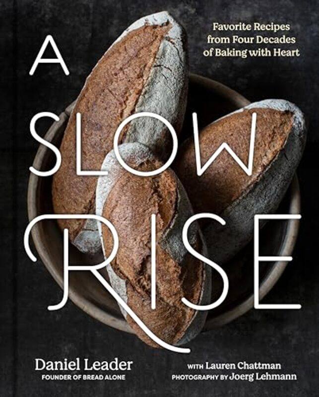 

A Slow Rise by Daniel Leader , Paperback