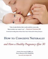 How To Conceive Naturally by Christa Orecchio -Paperback