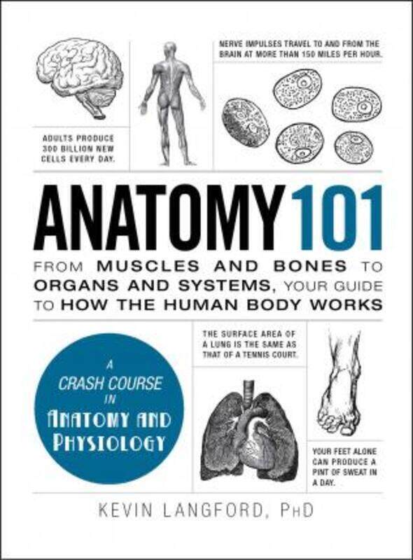 

Anatomy 101: From Muscles and Bones to Organs and Systems, Your Guide to How the Human Body Works.Hardcover,By :Langford, Kevin