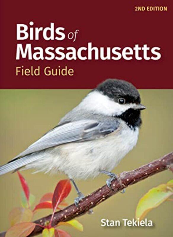 

Birds Of Massachusetts Field Guide by Stan Tekiela-Paperback