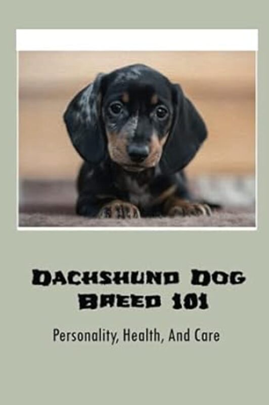 Dachshund Dog Breed 101 Personality Health And Care Where To Purchase A Doxie Puppy
