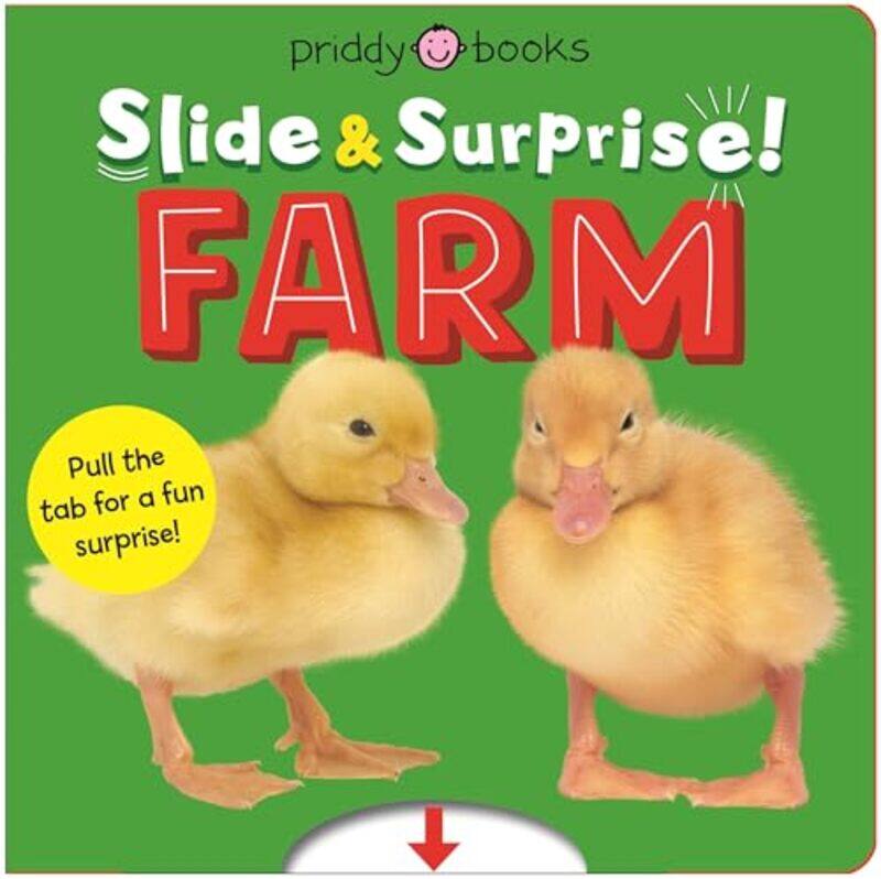 

Slide And Surprise,Paperback By Roger Priddy
