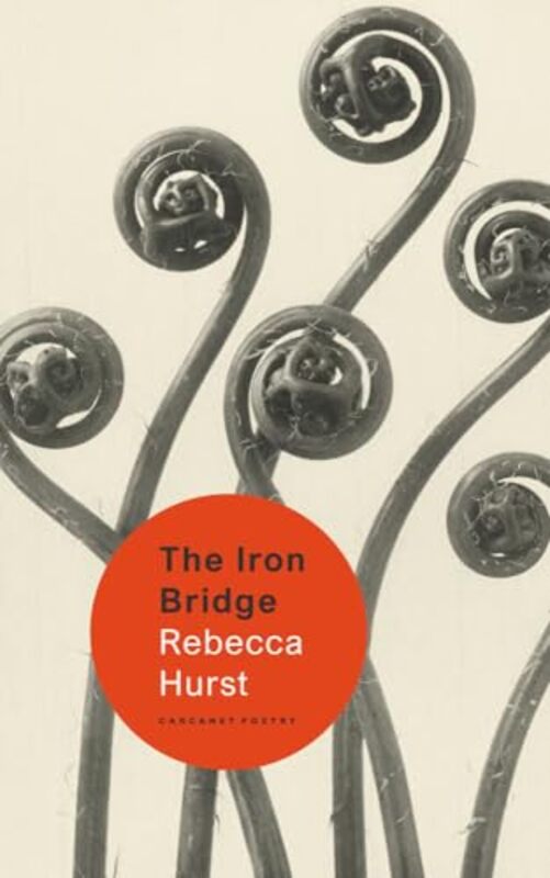 

The Iron Bridge by Rebecca Hurst-Paperback