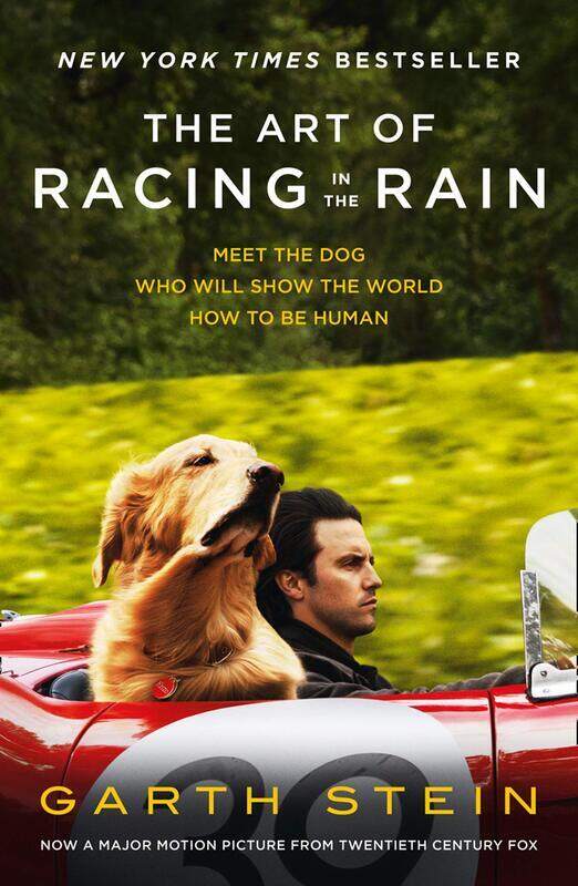 

The Art of Racing in the Rain, Paperback Book, By: Garth Stein