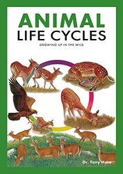 Animal Life Cycles by Ali PirayeshDario Associate Professor in Maxillo Facial Surgery Italy BertossiIzolda Heydenrych-Paperback