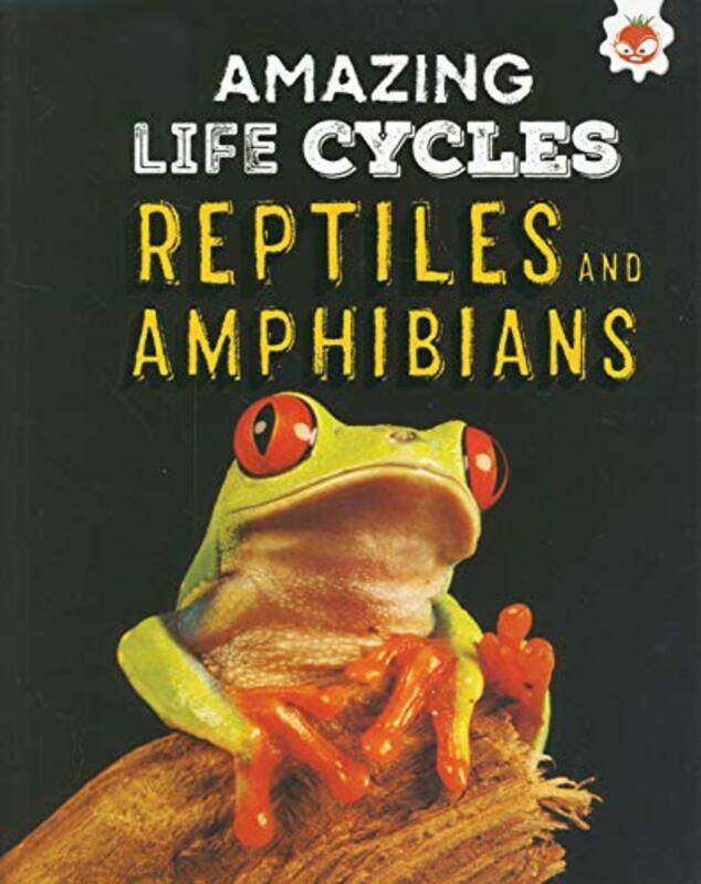 

Reptiles and Amphibians Amazing Life Cycles by Claudia Martin-Paperback