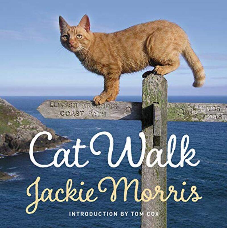 

Cat Walk by Andrea SilenKelly HargraveNational Geographic KIds-Hardcover