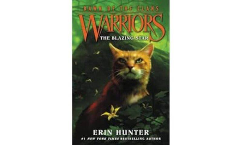 

Warriors Dawn of the Clans 4 The Blazing Star by Erin HunterWayne McLoughlinAllen Douglas-Paperback