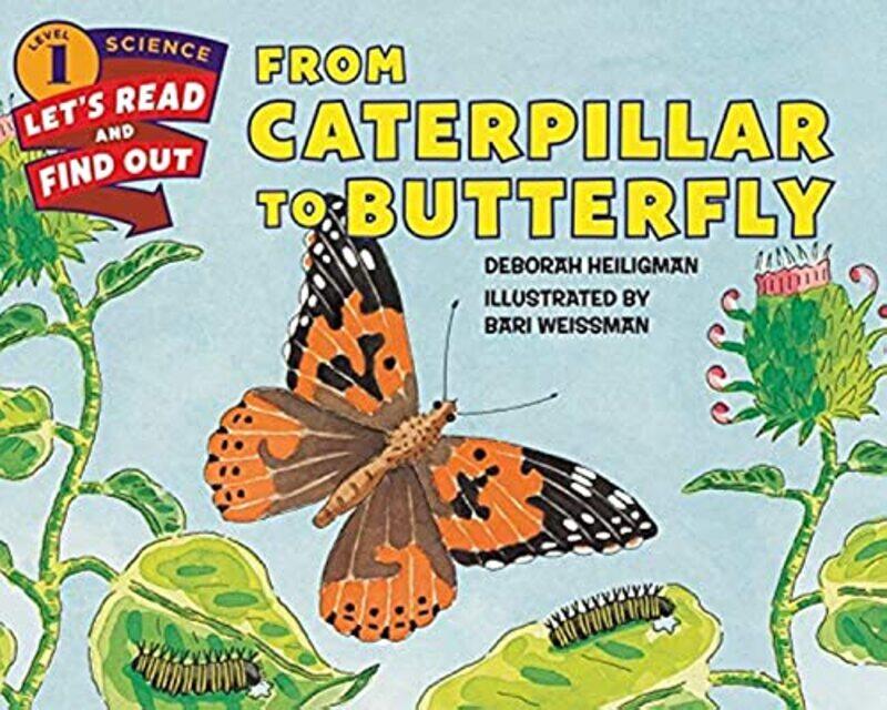 

From Caterpillar To Butterfly By Lets Read & Find Out - Paperback