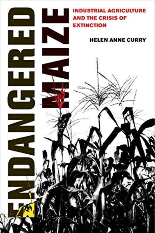 

Endangered Maize by Helen Anne Curry-Paperback