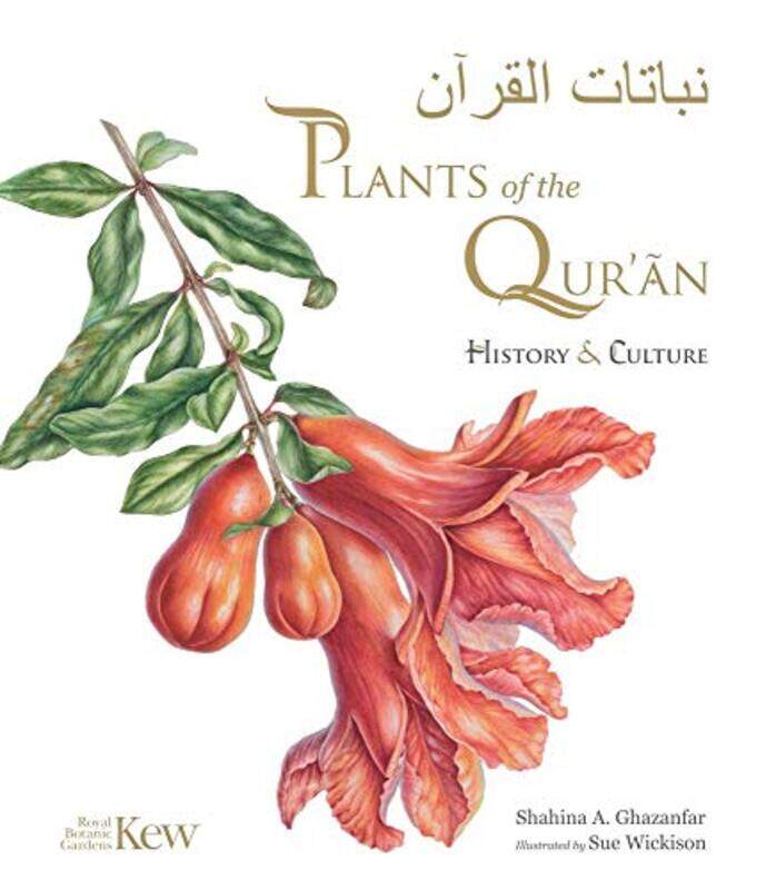 

Plants Of The Quran History & Culture by Ghazanfar, Shahina A. - Wickison, Sue Hardcover