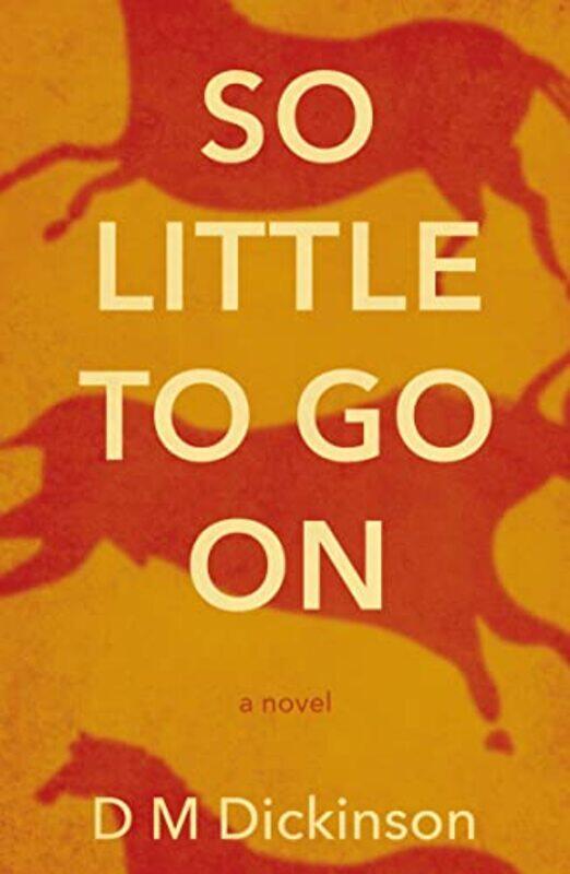 

So Little to Go On by D M Dickinson-Paperback