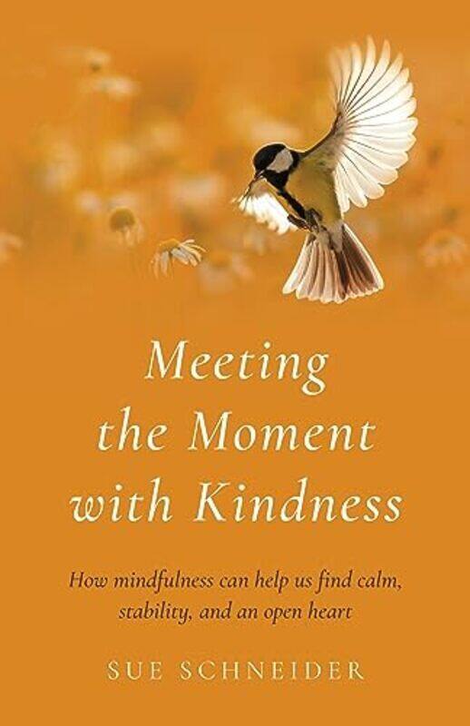 

Meeting The Moment With Kindness How Mindfulness Can Help Us Find Calm Stability And An Open Hea By Sue Schneider Paperback