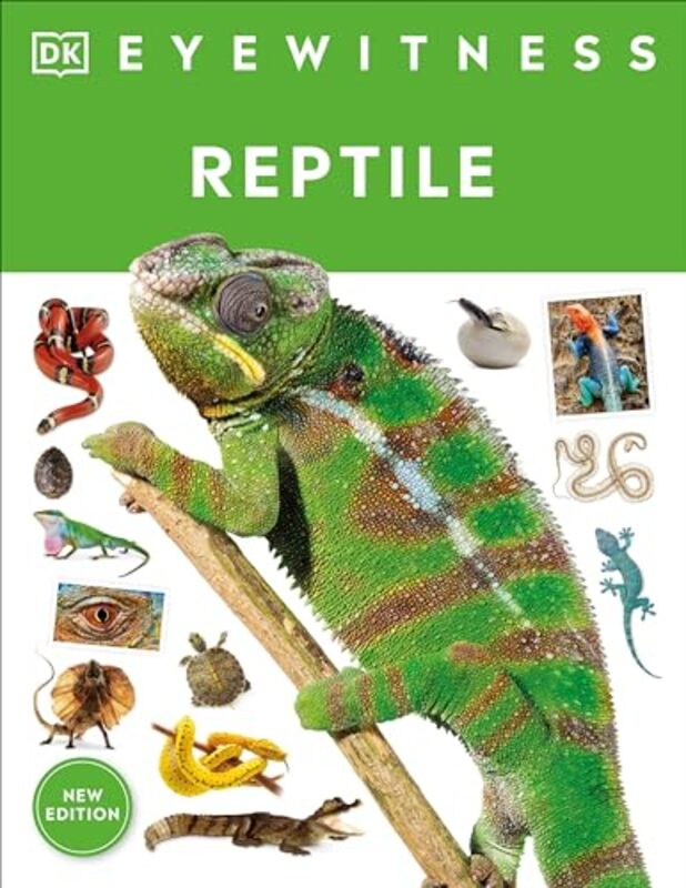 Eyewitness Reptile by DK - Paperback