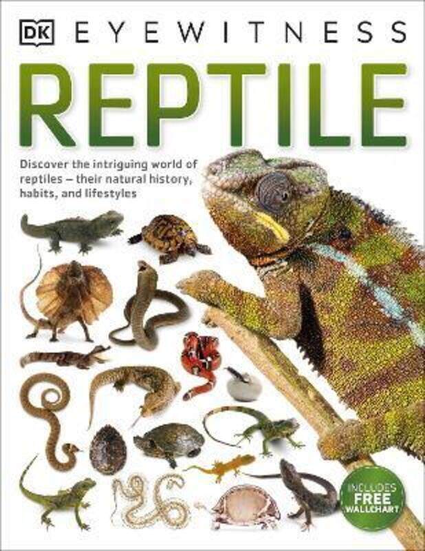 

Reptile,Paperback, By:DK