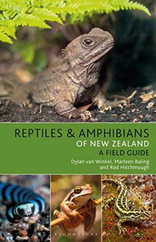 

Reptiles and Amphibians of New Zealand by Richard Durant-Paperback