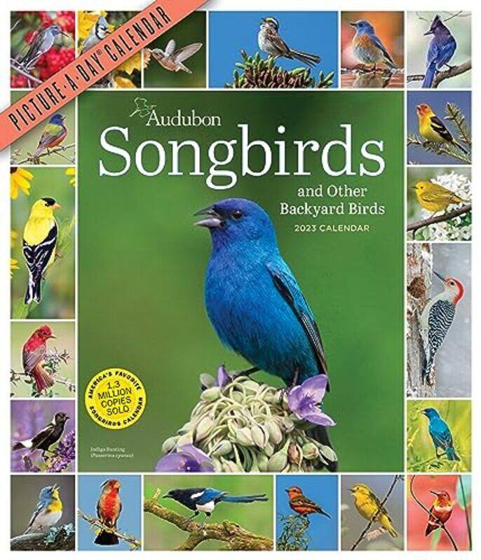 Audubon Songbirds And Other Backyard Birds Pictureaday Wall Calendar 2023 A Beautiful Bird Filled By Workman Calendars National Audubon Society Paperback