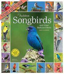 Audubon Songbirds And Other Backyard Birds Pictureaday Wall Calendar 2023 A Beautiful Bird Filled By Workman Calendars National Audubon Society Paperback