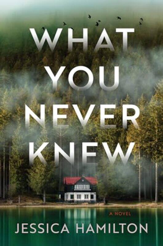 

What You Never Knew by Jessica Hamilton-Paperback