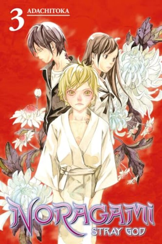 

Noragami Stray God V03 By V03 - Paperback