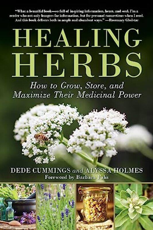 

Healing Herbs by Dede CummingsAlyssa Holmes -Paperback