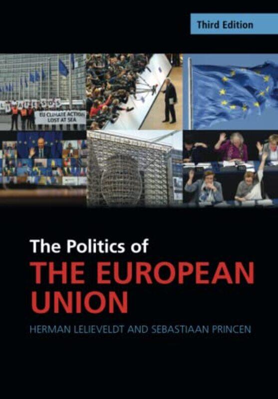 

The Politics of the European Union by Miles Young-Paperback