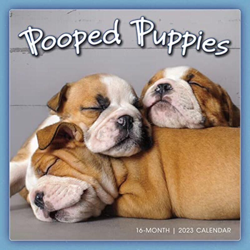 

Pooped Puppies by SELLERS PUBLISHING-Paperback
