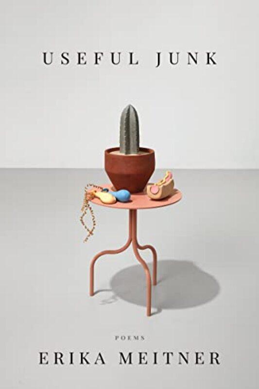 

Useful Junk by Erika Meitner-Paperback