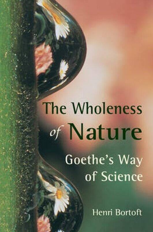 

The Wholeness Of Nature by Henri Bortoft-Paperback