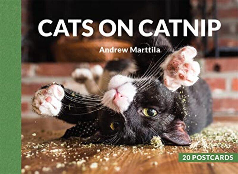 

Cats On Catnip By Marttila Andrew - Paperback