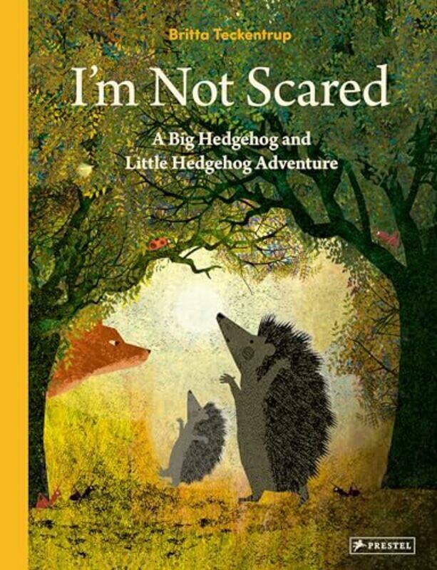 

Im Not Scared by Britta Teckentrup-Hardcover