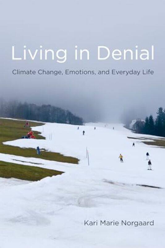 

Living in Denial by Dr Laymon Dr Hicks-Paperback