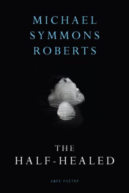 

The Half Healed by Michael Symmons Roberts-Paperback