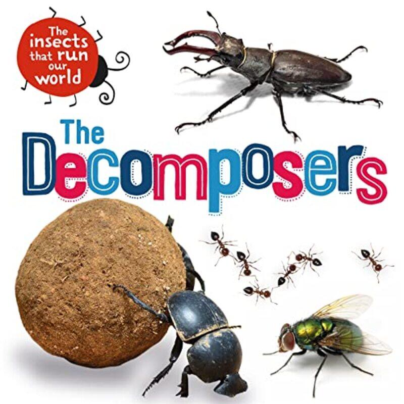 

The Insects that Run Our World The Decomposers by Sarah Ridley-Paperback