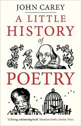 A Little History of Poetry by Carey, John Paperback