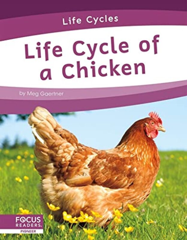 

Life Cycles Life Cycle of a Chicken by Meg Gaertner-Paperback