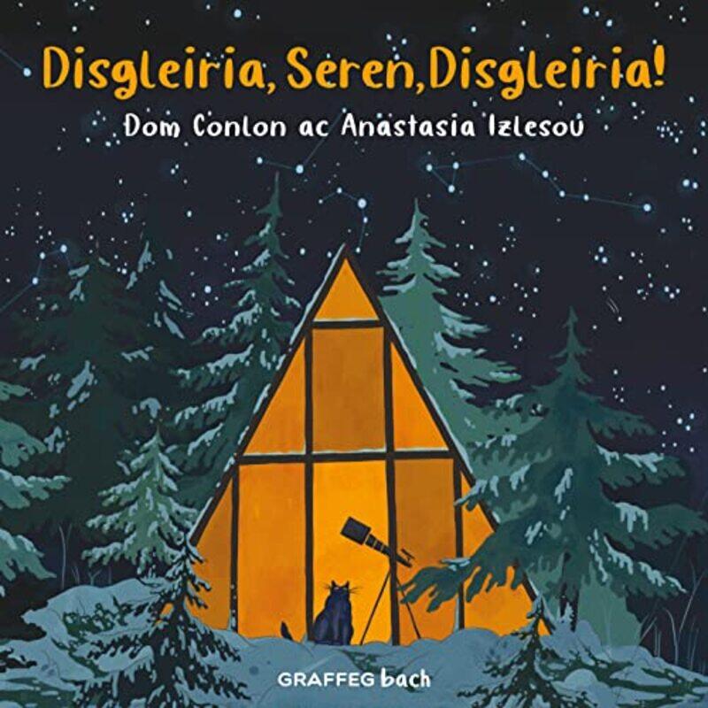 

Disgleiria Seren Disgleiria by Dom ConlonAnastasia IzlesouAnwen Pierce-Paperback