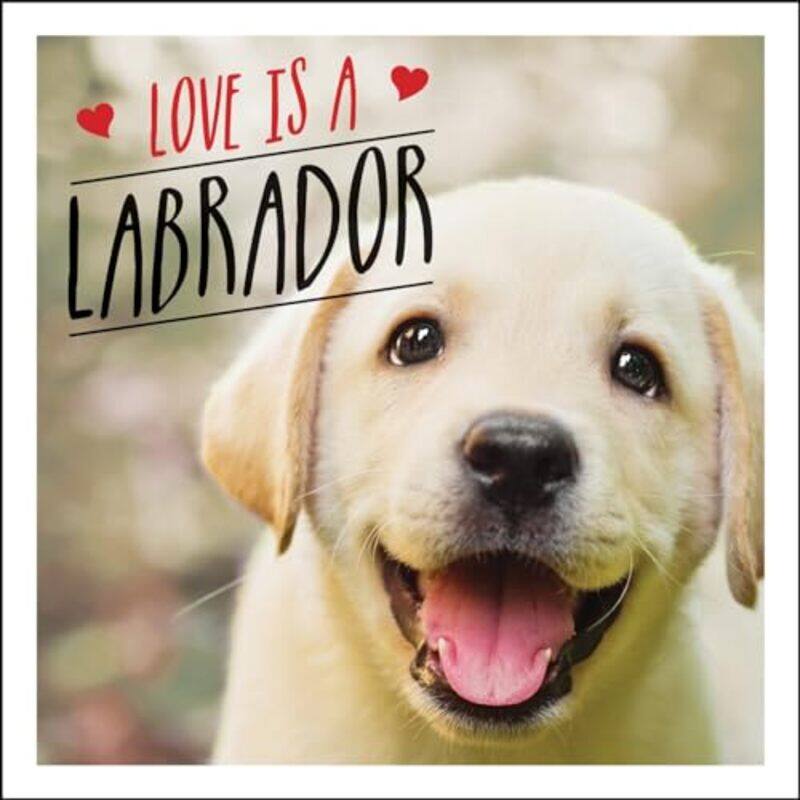 

Love is a Labrador by CGP BooksCGP Books-Hardcover