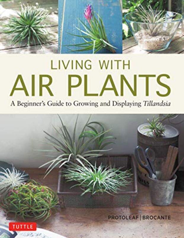 

Living With Air Plants By Yoshiharu Kashima (Protoleaf) -Paperback