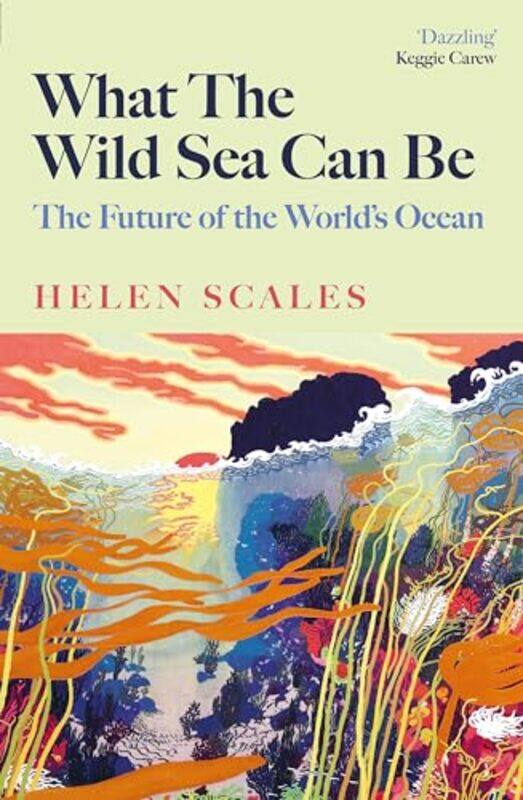 

What the Wild Sea Can Be by Silja-Hardcover