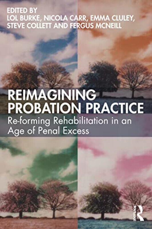 

Reimagining Probation Practice by Micheal Lanham-Paperback