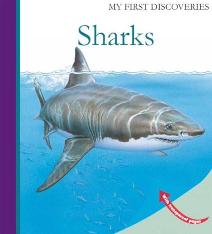 

Sharks by Ute FuhrRaoul SautaiUte FuhrRaoul SautaiPenelope Stanley-Baker-Hardcover