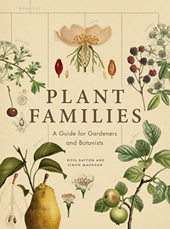 

Plant Families: A Guide for Gardeners and Botanists , Hardcover by Bayton, Ross - Maughan, Simon