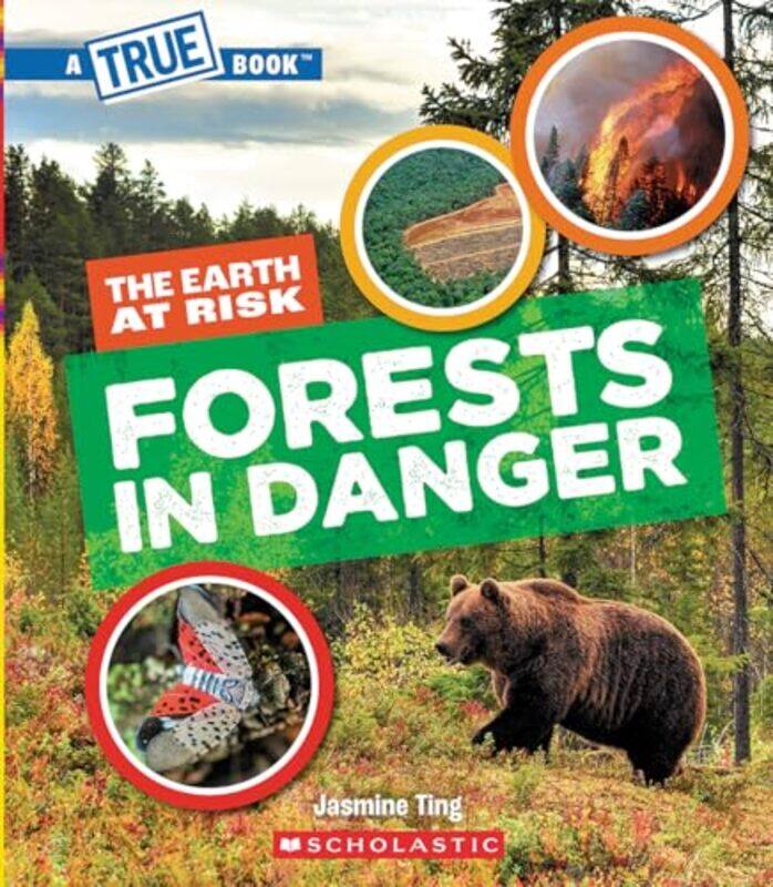 

Forests In Danger By Ting Jasmine - Paperback